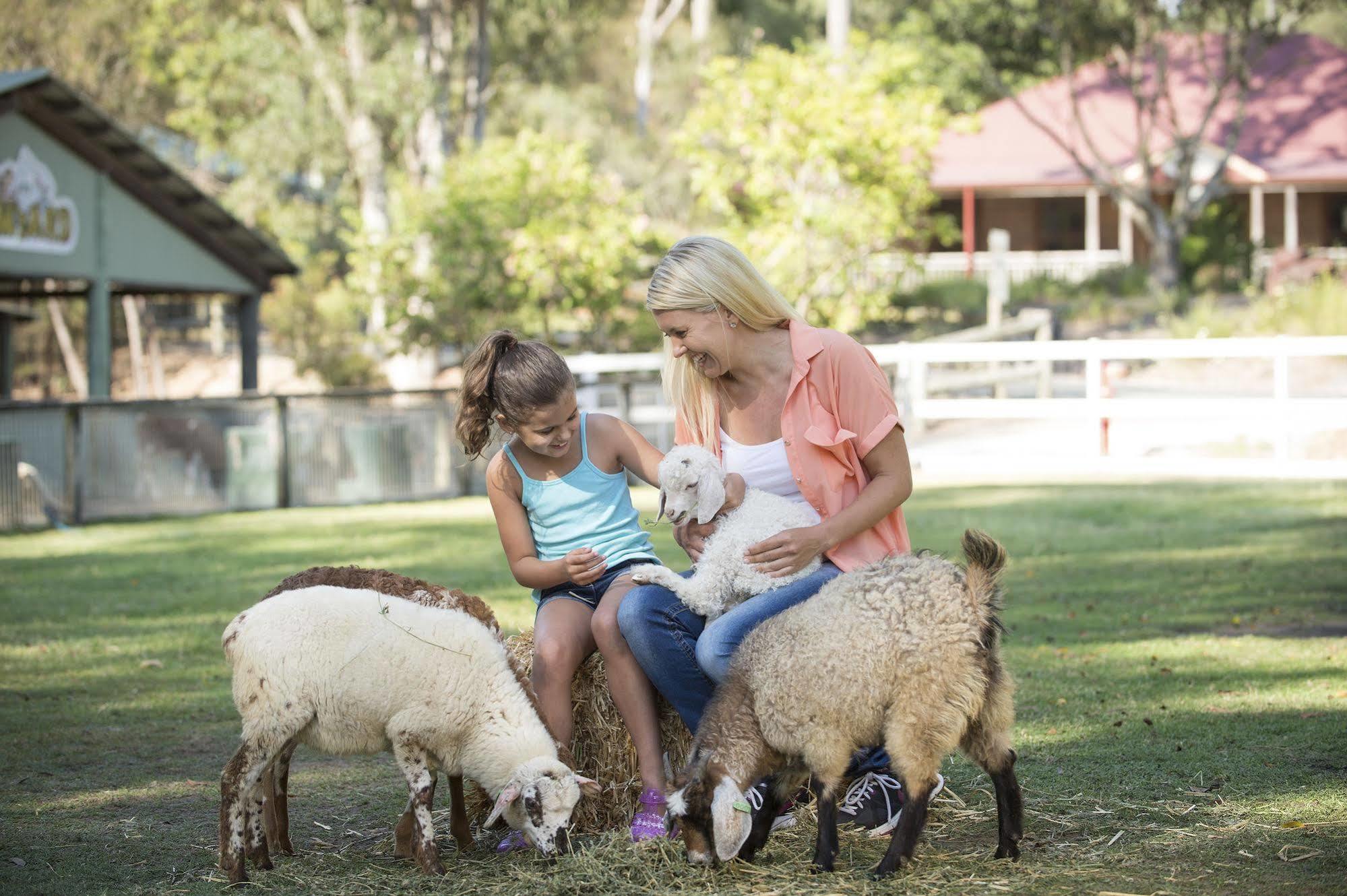 Paradise Country Farmstay Gold Coast Exterior foto