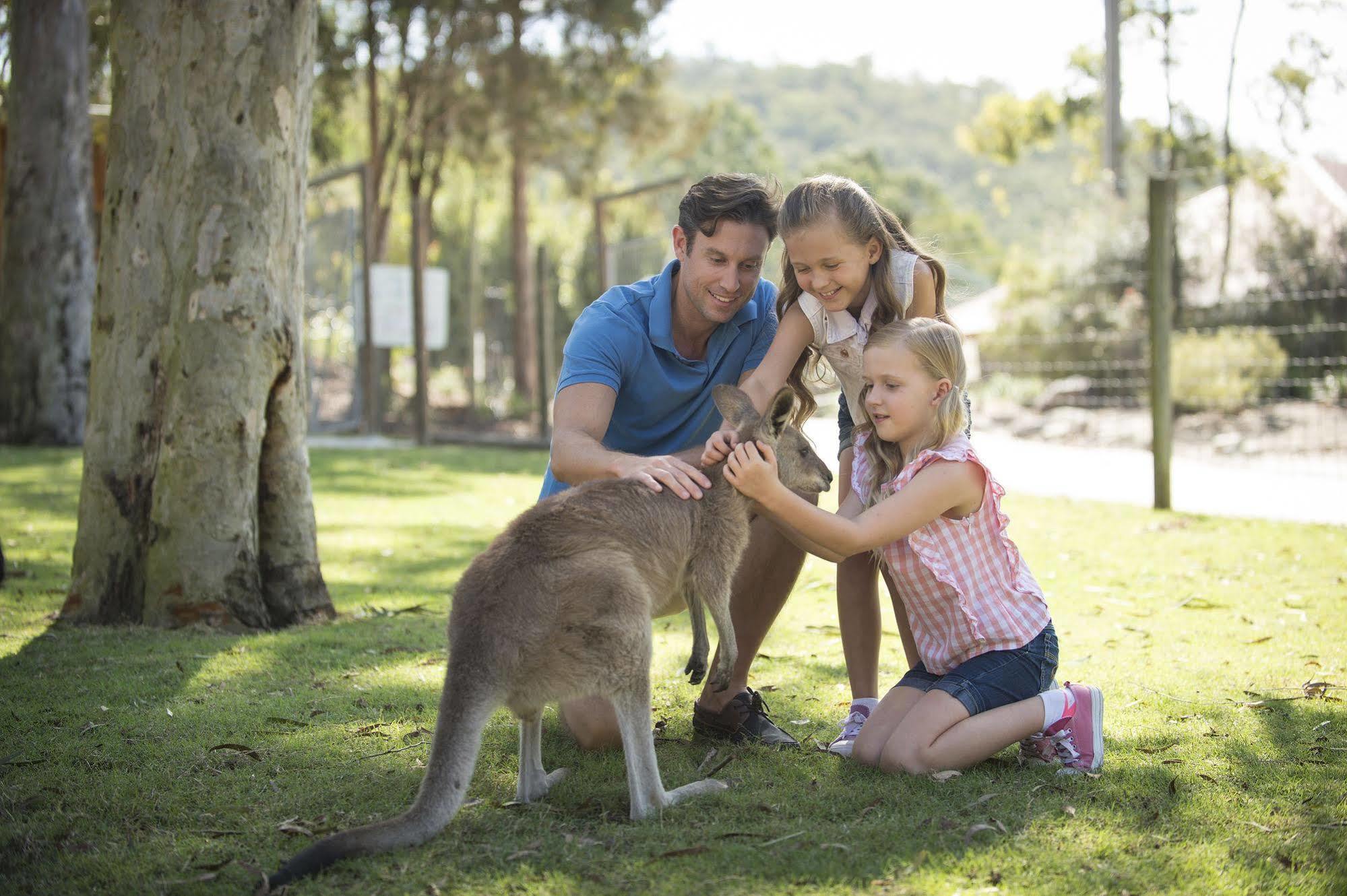 Paradise Country Farmstay Gold Coast Exterior foto